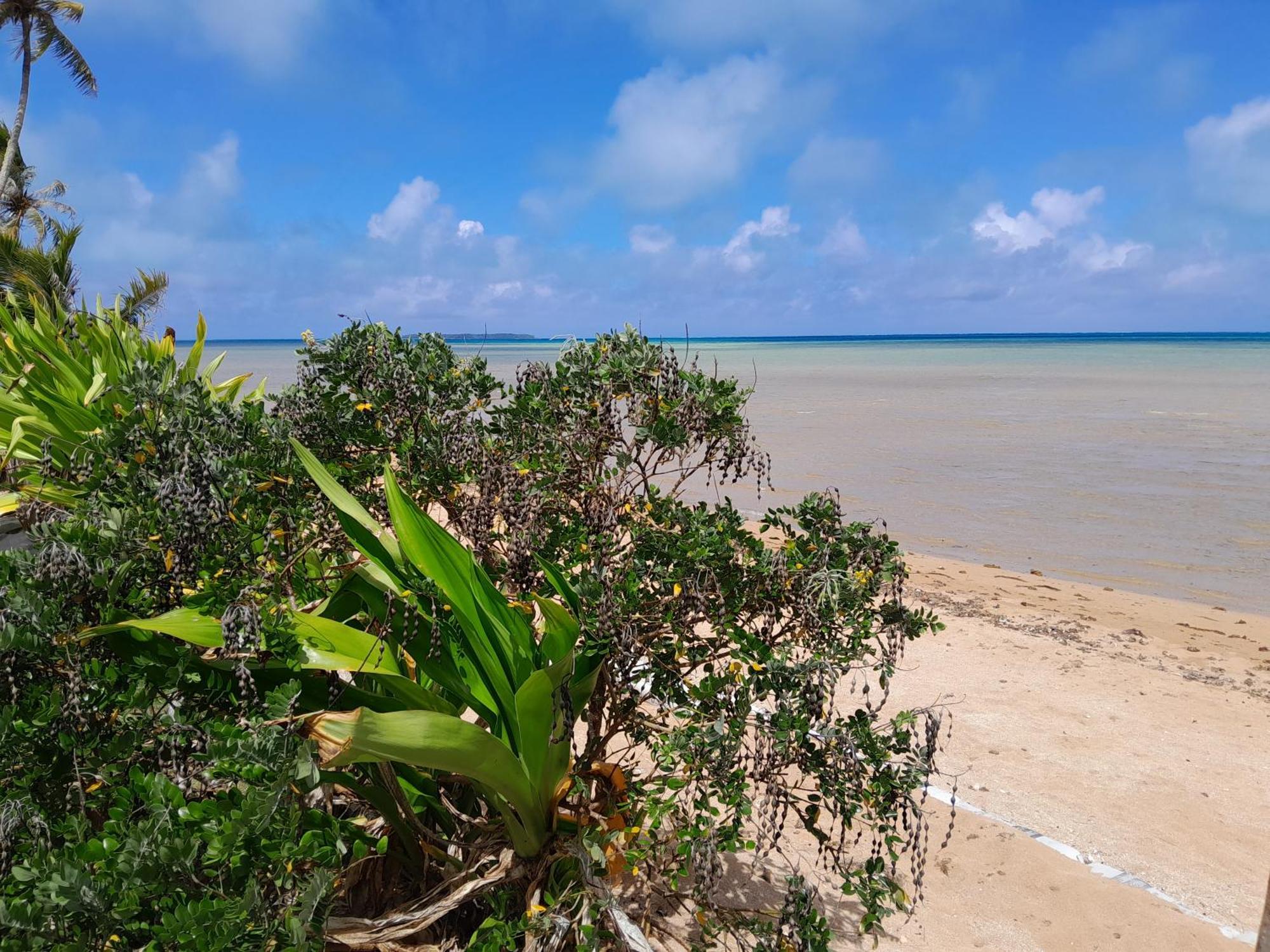 Mara'Ai Le Spot Tubuai Chambre Triple Taahueia Deluxe Sdb Privee Avec Piscine Mataura Buitenkant foto